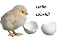 Chick hello world card